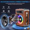 JYX Karaoke Machine with Two Wireless Microphones, Portable Bluetooth Speaker with Bass/Treble Adjustment, PA System with Remote Control, LED Lights,Supports TF Card/USB/AUX/TWS