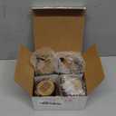 Kate Aspen Indian Jewel Henna Glass, Tealight Candle Holders Votives, Set of 4