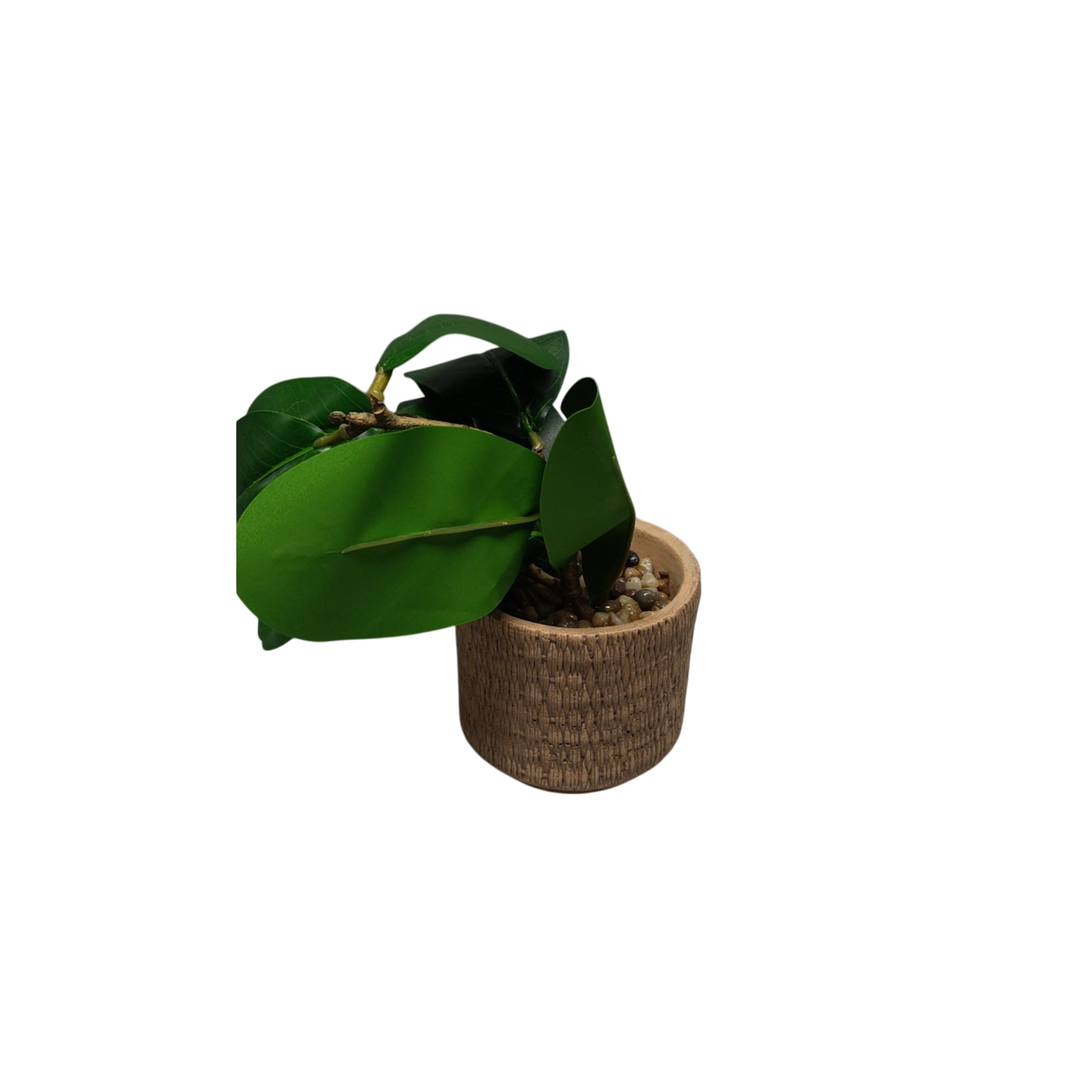 Artificial Rubber Tree - Tall Faux Ficus Elastica Plant with Pot - Small Indoor Fake Tree for Home, Office, Living Room, Floor Decor, Tropical Artificial Plant for Modern Room Styling Light Color