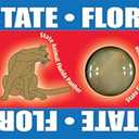 Florida Borders for Bulletin Boards
