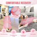 Lukovee Recovery Suit for Dogs, Zipper On Recovery Suit for Female Male Dog, Onesie Abdominal Wounds Cone E-Collar Alternative Prevent Licking Spay Recovery Suit (Pink, XXL)