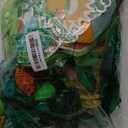 Dinosaur Birthday Party Decorations Supplies Happy Birthday Banner Crepe Paper Green Orange Blue Gold Dino Foil Balloons Garland Arch Kit for Jungle Safari Dinosaur Themed Baby Shower Party Boys Kids