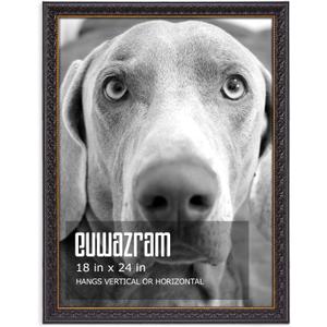 Ornate Black 18x24 Picture Frame with Raised Leaf Border, 18 x 24 in