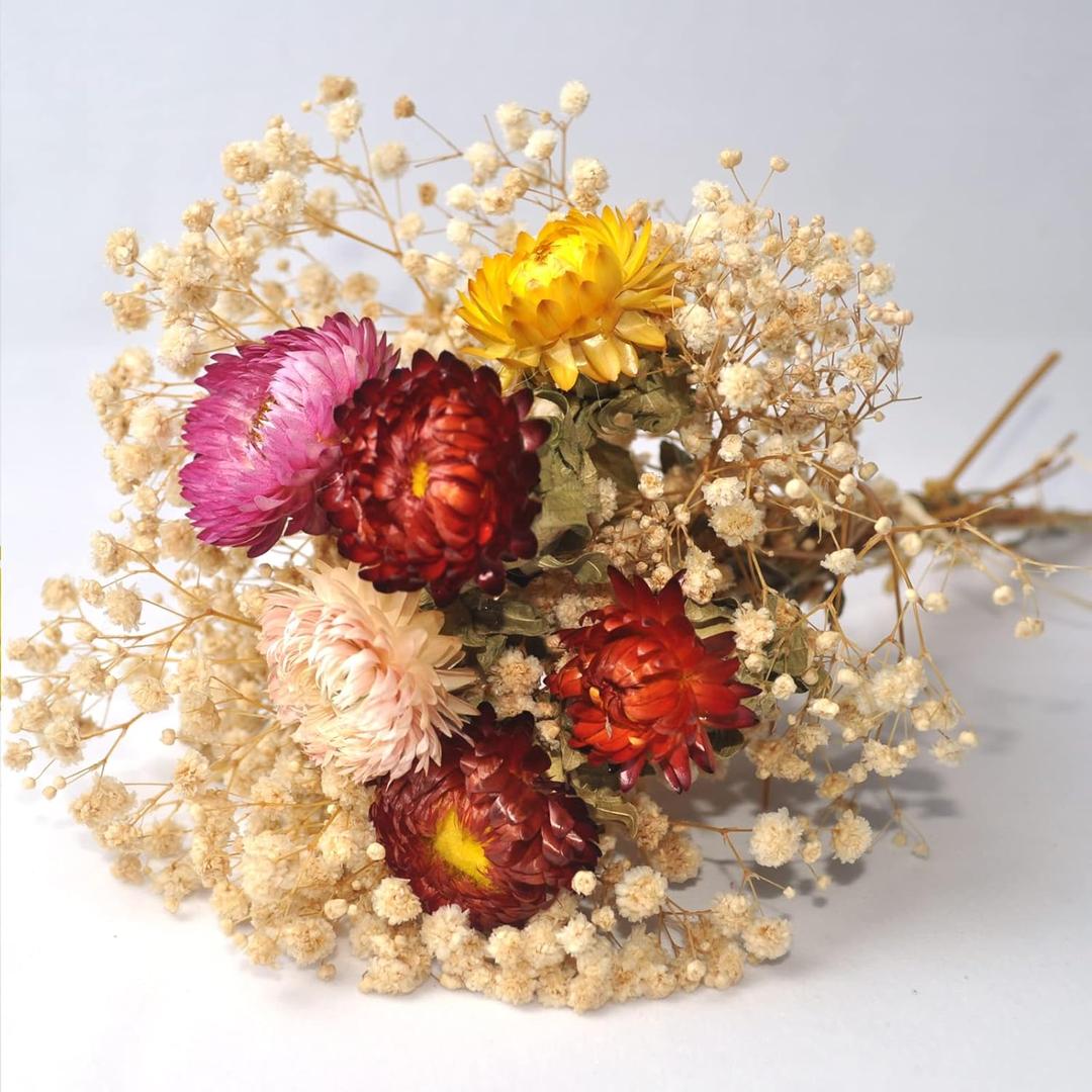 L'BREVOGA Dried Flower Bouquets, Natural Dried Daisy, Chrysanthemums with Babys Breath for Floral Arrangement Home Decoration Party Gift (Daisy)