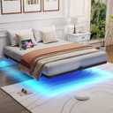 Floating Bed Frame with LED Lights and Charging Station - Modern Metal Platform Bed Frame - Noise Free No Box Spring Needed and Easy Assembly (Queen (U.S. Standard)