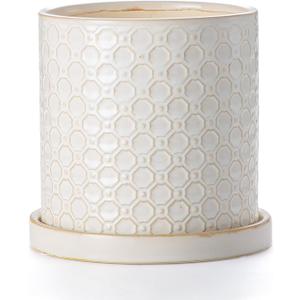 6 Inch Plant Pot: Ceramic Planter with Drainage Hole & Saucer Indoor Outdoor Plants - Cylinder Round Flower Pot for Home Office - Modern Decorative - Small White