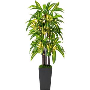 Artificial Dracaena Tree 5FT, Fake Plants with Black Tall Planter - Fake Tree Tall Faux Plants Indoor Floor Plant with Moss - Artificial Plants Indoor for Office Living Room Home Decor