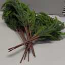 HIKISS 16 Pcs 24 Inch Realism Artisan-Crafted Norfolk Pine Branch - Artificial Christmas Greenery Stems with Lifelike Color Faux Cedar Pine Picks for Garland Wreaths Vases & DIY Indoor/Outdoor Dcor