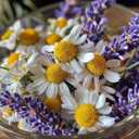 Massage Oil Candles, Massage Candles for Relaxation Gifts, Body Oil, Body Lotion, Edible Soy Wax + Hemp Seed Oil Based, Candle That Turns into Massage Oils, Jars- 7 OZ (Chamomile Lavender)