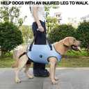 Coodeo Dog Lift Harness, Pet Support & Rehabilitation Sling Lift Adjustable Padded Breathable Straps for Old, Disabled, Joint Injuries, Arthritis, Loss of Stability Dogs Walk (Blue, XS)