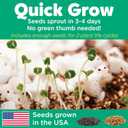 Creativity for Kids Grow 'N Glow Terrarium Kit - Educational Science Kits, Kids Gifts for Boys and Girls, Craft and STEM Projects (Ages 6+)