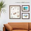 FrameWorks 11x14 Driftwood Wooden Shadow Box Frame  Soft Felt Back, Tempered Glass, and Included Elegant White Ball Push Pins (Natural)