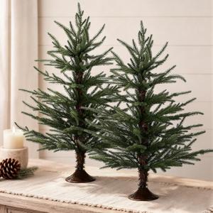 2 Pack 2 ft Tabletop Norfolk Pine Christmas Trees with Vintage Base