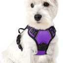 rabbitgoo Dog Harness No Pull with 2 Leash Clips, Adjustable Soft Padded, Reflective Oxford No Choke Pet Vest with Easy Control Handle for Puppy, Purple, XS