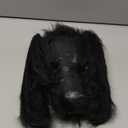 JOYIN Halloween Outdoor Decorations Giant Spider, 5 Ft Large Spider for Yard Lawn Garden Patio Scary Halloween Outside Decor, Indoor Haunted House Prop and Home Party Decor, Black