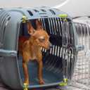 Ferplast Jet Pet Carrier: Value Dog Carrier Suitable for XS Dog Breeds & Small Cats, Assembled Dimensions: 22L x 14.5W x 13H inches, Green, (73043039PBUS)