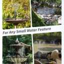 POPOSOAP Solar Pond Filter with Fountain Pump, 4W Solar Fountain Pump with Pond Filter Kit, Solar Water Pump with Nozzles & PVC Tubing for Bird Bath, Water Garden, Fish Tank & Backyard Decor P3035