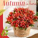 Janinka 6 Bundles Fall Artificial Flowers for Outdoors Fake Daisy Bouquet Silk Mums Flowers Bulk Look Real UV Resistant Outside Faux Plants for Garden Planter Front Door Porch Patio Decor (Red)