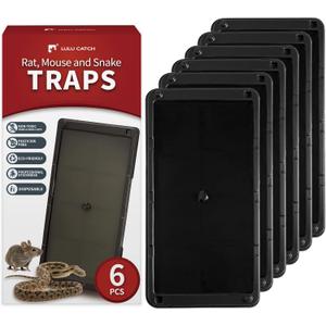 LULUCATCH Super Glue Traps 6 Pack for Mice & Snakes, Larger, Heavier Sticky Traps with Non-Toxic Glue. Sticky Mouse Traps Indoor, Easy to Set, Pet Safe Pest Control