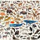 Buffalo Games - Kara Mohr - Conservation Collage - 2000 Piece Jigsaw Puzzle for Adults - Challenging Puzzle Perfect for Game Nights - Finished Size is 38.50 x 26.50