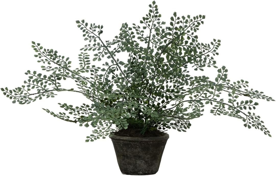 Nearly Natural 4251 Maiden Hair Artificial Plant in Planter Green Small