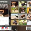 Boxer Calendar 2025 Boxer Dog Gifts Monthly Wall Calender 12 Month | American Made In The USA
