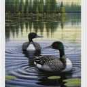 TEERMLLQWA Loons Swimming Lake Lily Pads Diamond Art Painting Art Paint by Numbers 5D Diamond Art Painting Kits DIY Home Office Wall Decor 12"x16"