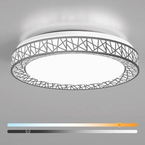 Lightania 20 Inch Flush Mount Ceiling Light, Modern Brushed Nickel LED Ceiling Light Fixture, 42W 4000LM 2700-6500K Adjustable, Dimmable Ceiling Lights for Bedroom, Kitchen, Hallway, Bathroom, ETL