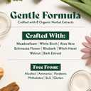 Herbatint Permanent Hair Dye For Women - 1N Black - For Up To 100% Gray Coverage - Ammonia-Free, Alcohol-Free & Vegan - Salon Influenced Hair color 5.75 fl oz