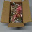 20 Pcs Dried Flowers for Crafts, Mini Dried Flowers Bouquet Bulk for Vase DIY Small Photo Bridesmaid Gift Birthday Decor