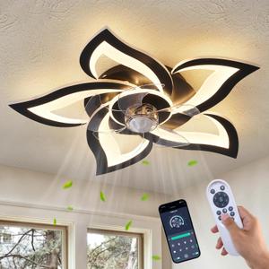 Dalouguan Ceiling Fan with Lights Remote Control, 24" Black, 6 Speeds 3 Light Color Low Profile Flush Mount Ceiling Fan for Kitchen Bedroom, Samll
