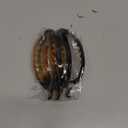 Yilloog 3 Pieces French Hair Barrette Clip French Clips Flexible Ponytail Holder Plain Strong Grip Closure Barrettes Styling No Metal Hair Accessories for Women Girls, 3 Colors (Oval Shape)