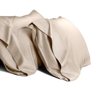 Cooling Queen Pillow Cases Set of 2 Breathable Cool Silky Soft Rayon Derived from Bamboo Fabric, Moisture Wicking for Hot Sleepers,Hair and Skin Friendly,Taupe,2 Pack,20x30IN