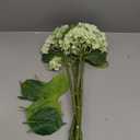 Suncalla 36 Pcs White Artificial Flowers Bouquet Set 8 Kind Faux Delphinium Rose Peony Chrysanthemum Hydrangea Baby's Breath Florals with Greenery Long Stem for Wedding Table Centerpiece Vase Decor