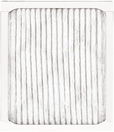AIR FILTER 20X30X1 2PK