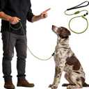 Dog Leash Slip Lead 6FT, Dog Training Leash,Trainer Rope Designed for DogTraining and NGKC Competition, 2-in-1 Training Lead & Collar, Suitable All Dog Training(Dark Green)