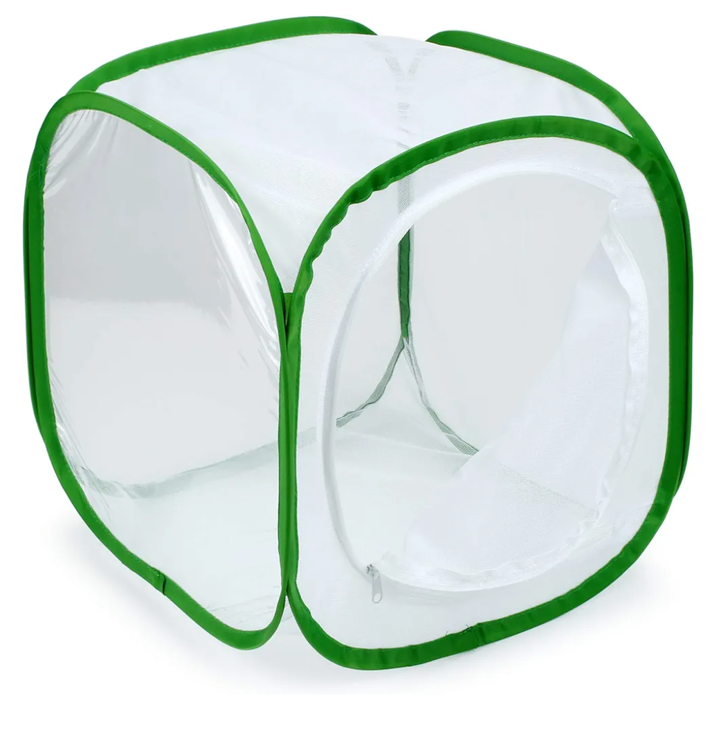 RESTCLOUD Insect and Butterfly Habitat Cage Terrarium Pop-up 12 X 12 X 12 Inches