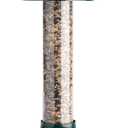 Squirrel Buster Evolution Truly Squirrel-Proof Bird Feeder, Double Cardinal Ring, 1.9-Pound Seed Capacity, Green