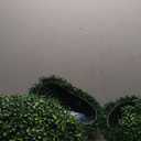 Sunnyglade 2 PCS 19.7 inch 4 Layers Artificial Plant Topiary Ball Faux Boxwood Decorative Balls for Backyard, Balcony,Garden, Wedding and Home Dcor (19.7 inch)