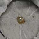 SENSARTE Nonstick Ceramic Frying Pan Skillet with Lid, 11 Inch Omelet Pan, Healthy Non Toxic Chefs Pan, Induction Compatible Egg Pan with Heat Resistant Handle, Free of Intentionally Added PFAS/PTFE