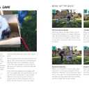 How to Train Your Dog: A Relationship-Based Approach for a Well-Behaved Dog