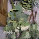 200 Pcs 4 Kinds Mixed Artificial Eucalyptus Greenery Stems Bulk Baby Breath Flowers Artificial Bulk with Fake Silver Dollar Leaves Plants for Centerpieces Wedding Bouquet DIY Home Decor