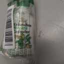 Kalanchoe Pinnata-Leaf of Life (Bryophyllum Pinnatum) 60 Cápsulas De 750mg Bottle, BB: 12/2027