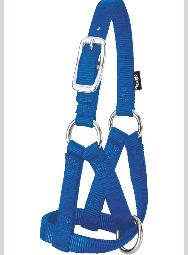 Weaver Leather LivestockWeaver Leather Livestock Goat Halter, Blue, 3/4" Small