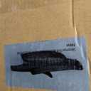 Sleepmax Extra Firm Mattress Topper Twin Size 3 Inch - Firm Memory Foam Mattress Topper for Pain Relief - Ventilated High Density Foam Bed Topper - No Odor, CertiPUR-US Certified