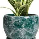 SQOWL Ceramic Pot for Plants - 6 Inch Ceramic Planter with Drainage Hole and Saucer, Round Flower Pot for Indoor Outdoor, Decorative Small Planter, Room Home Decor, Plant Lover Gifts, Green