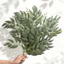 12pcs Artificial Italian Ruscus Greenery Stems 21" Faux Greenery Picks Silk Willow Leaves Stems Hanging Spray for Wedding Arch Bridal Bouquet Table Centerpieces Crafts Vase Filler Home Decor