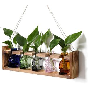 Plant Terrarium Propagation Stations Halloween Skull Planter Vase Skulls Decor with Wooden Stand Gife for Father - 3 Vases