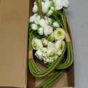 24 PCS Ranunculus Artificial Flowers, 15/10 in Fake Peonies White Faux Flower Bulk Real Touch for Wedding Engagement Centerpieces Arrangements Bridal Shower Home Decor (White)