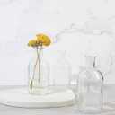 Glass Bud Vase Set of 16, Small Flower Vases, Glass Vases for Centerpieces, Vintage Home Table Decorations Bud Vases (16 Pcs, Clear)